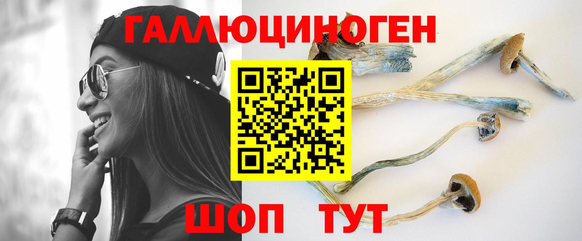 Псилоцибиновые грибы Psilocybe Нефтеюганск